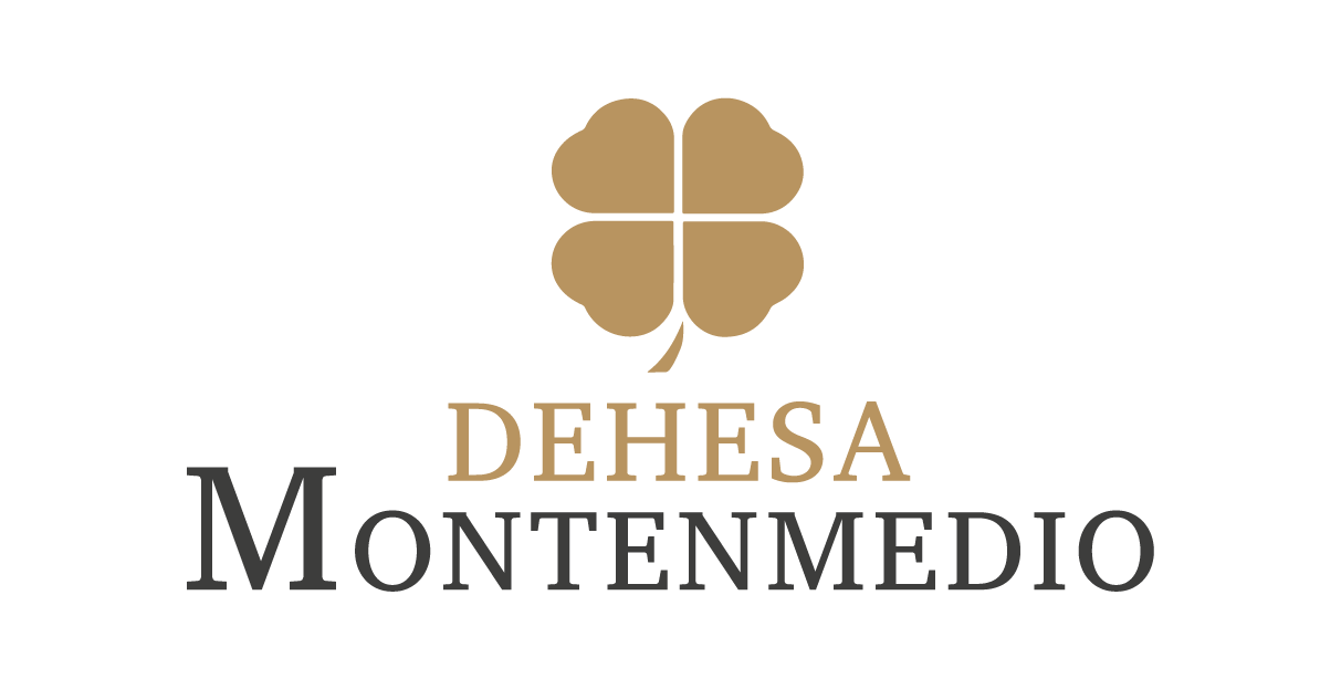 Dehesa Montenmedio